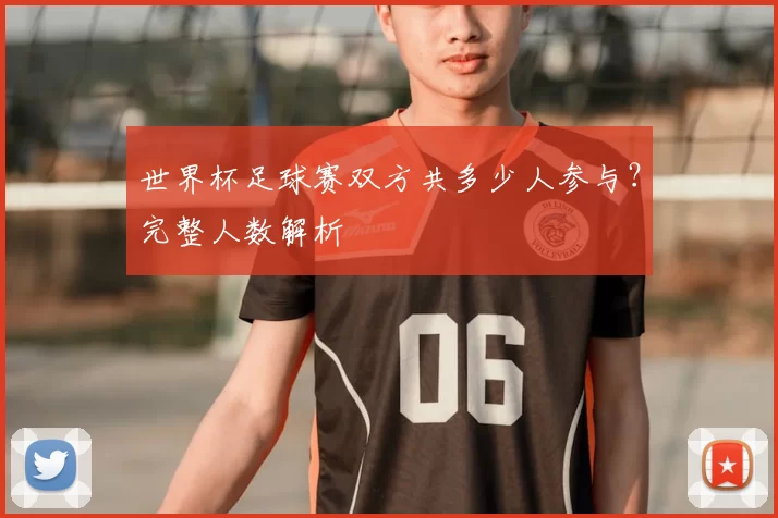 世界杯足球赛双方共多少人参与？完整人数解析
