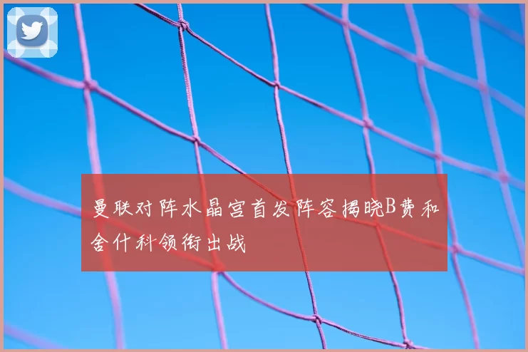曼联对阵水晶宫首发阵容揭晓B费和舍什科领衔出战