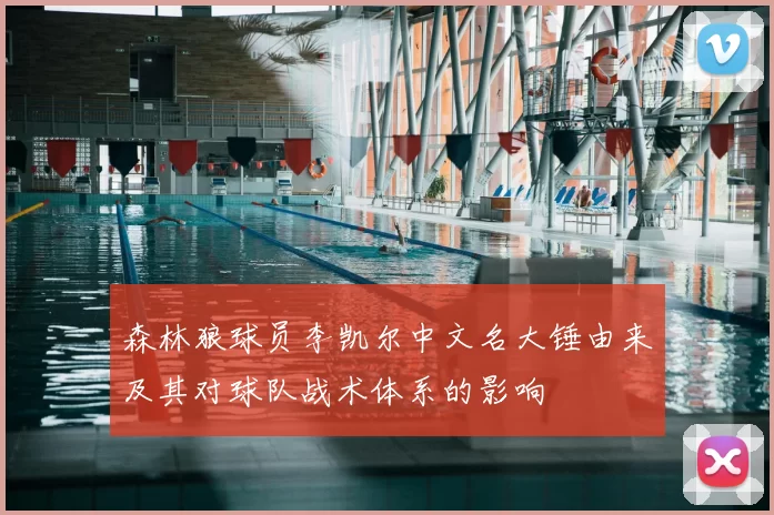 森林狼球员李凯尔中文名大锤由来及其对球队战术体系的影响