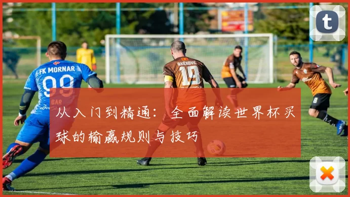从入门到精通:全面解读世界杯买球的输赢规则与技巧