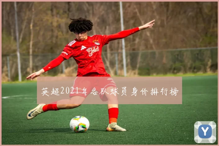 英超2021年各队球员身价排行榜