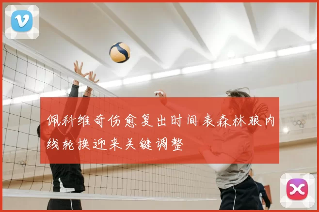 佩科维奇伤愈复出时间表森林狼内线轮换迎来关键调整