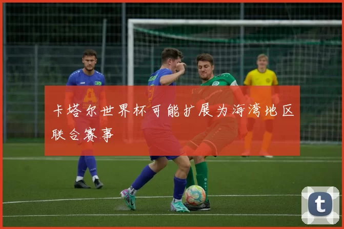 卡塔尔世界杯可能扩展为海湾地区联合赛事