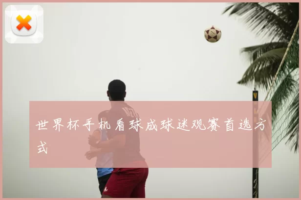 世界杯手机看球成球迷观赛首选方式