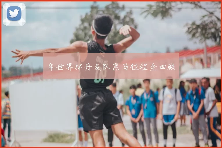 年世界杯丹麦队黑马征程全回顾