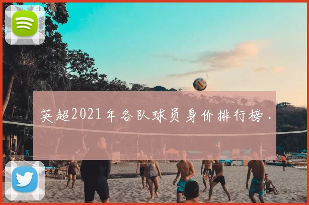 英超2021年各队球员身价排行榜 .