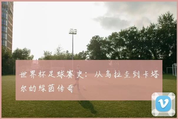 世界杯足球赛史:从乌拉圭到卡塔尔的绿茵传奇