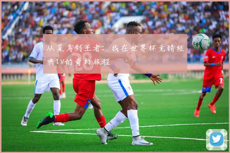 从菜鸟到王者:我在世界杯竞猜经典tv的奇幻旅程