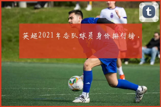 英超2021年各队球员身价排行榜 .