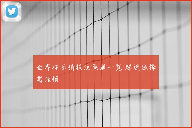 世界杯竞猜投注渠道一览 球迷选择需谨慎