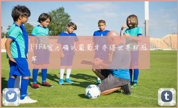 FIFA官方确认葡萄牙夺得世界杯冠军