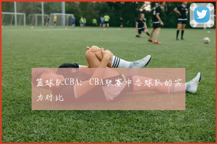 篮球队CBA：CBA联赛中各球队的实力对比