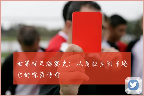 世界杯足球赛史:从乌拉圭到卡塔尔的绿茵传奇