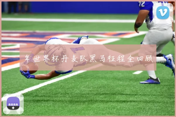 年世界杯丹麦队黑马征程全回顾